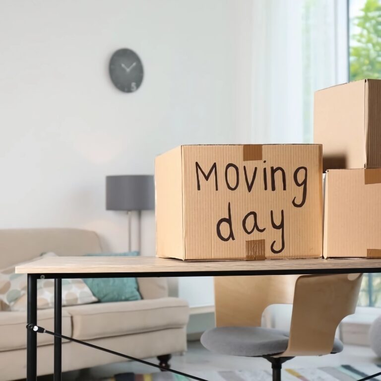 Home diseño sin título (30) (1)